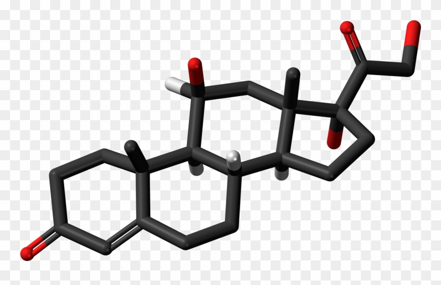 Cortisol 3d Skeletal Sticks - Steroid Clipart