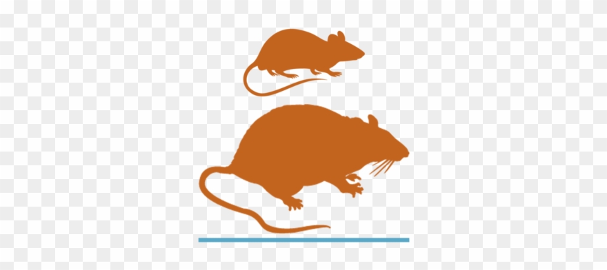 Got Rat? Throw Blanket Clipart