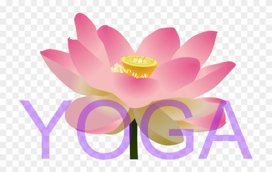 Yoga - Sacred Lotus Clipart