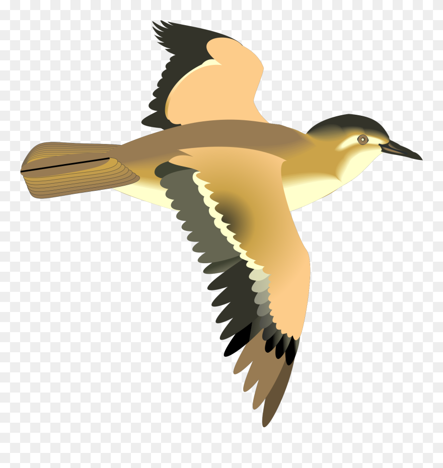 Flying Birds Clip Art Ciij - Animated Flying Bird Png Transparent Png