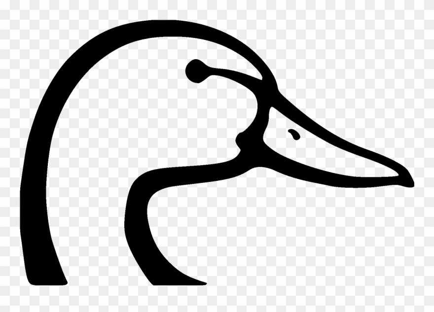 Duck-head File Size - Ducks Unlimited Duck Head Clipart