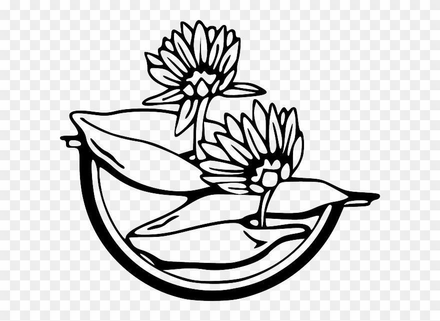 Clipart Water Outline - Water Lily Clipart Black And White - Png Download