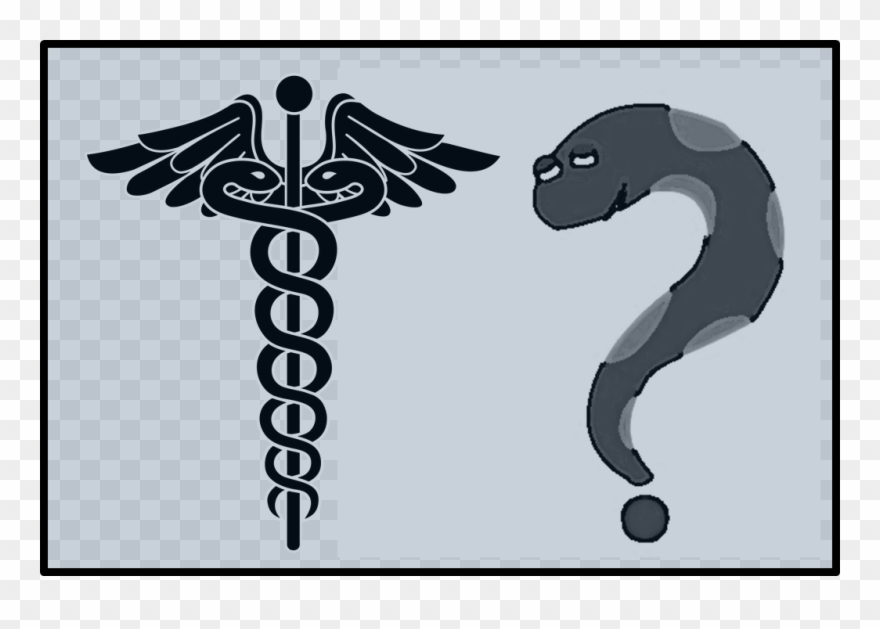 What Is The Difference Between The Different Types - Vara De Hermes Png Clipart