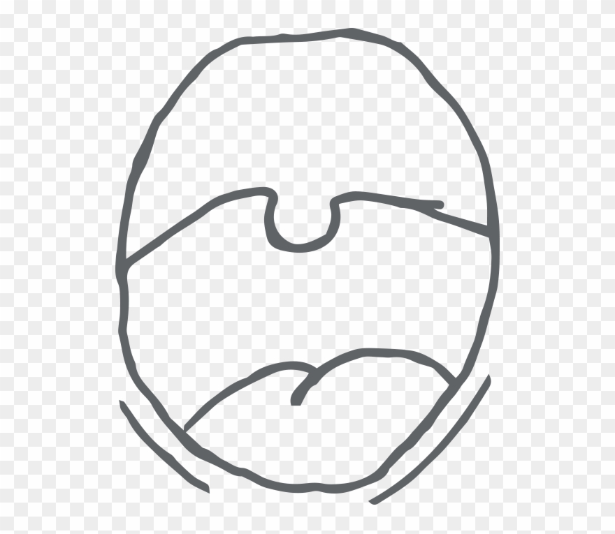 Chewing Motions Clipart