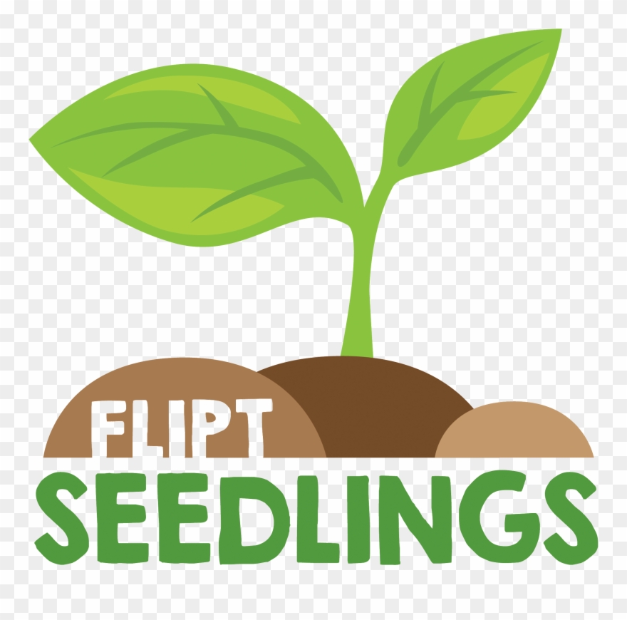 Null - Seedlings Logo Clipart