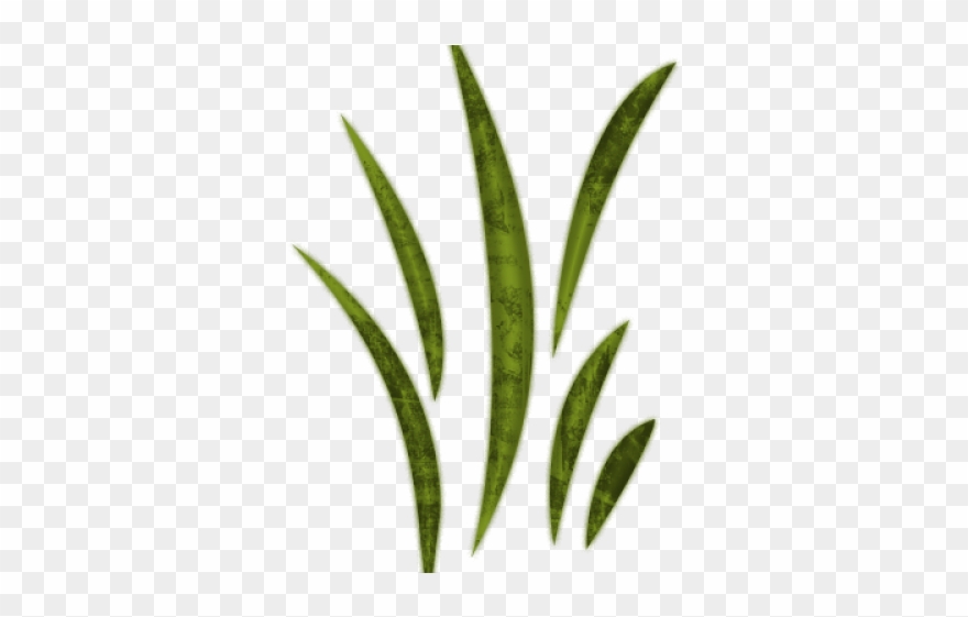Sea Grass Clipart Wild Grass - Leaf Clipart - Png Download