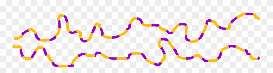 They Have No Chemical Crosslinks, But Depend, Rather, Clipart