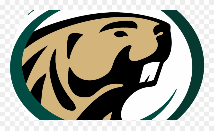 College Women's Hockey Playoff Preview - Bemidji State University Mascot Clipart