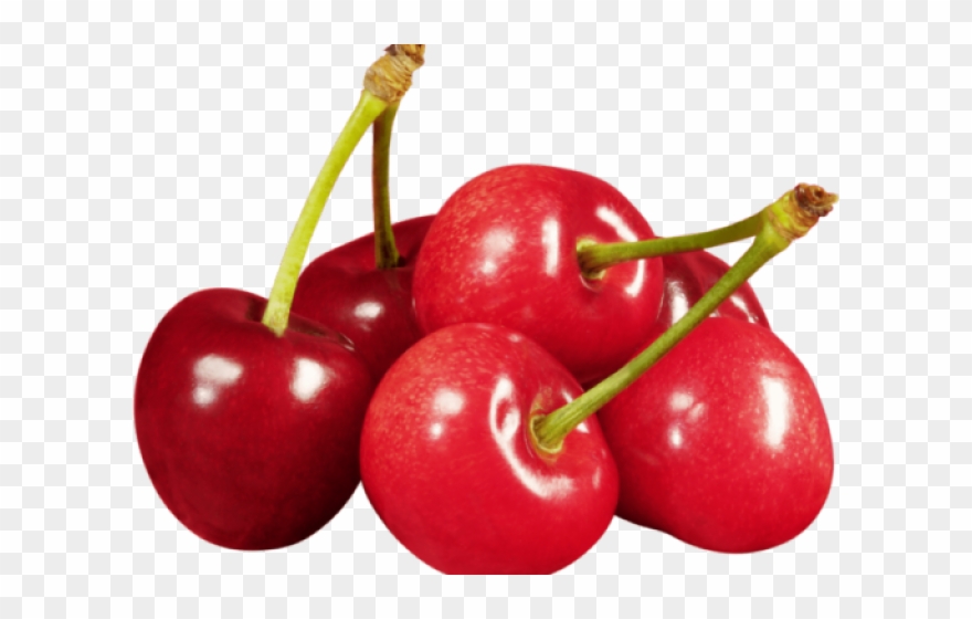 Cherry Blossom Clipart Transparent Tumblr - Cherry Png