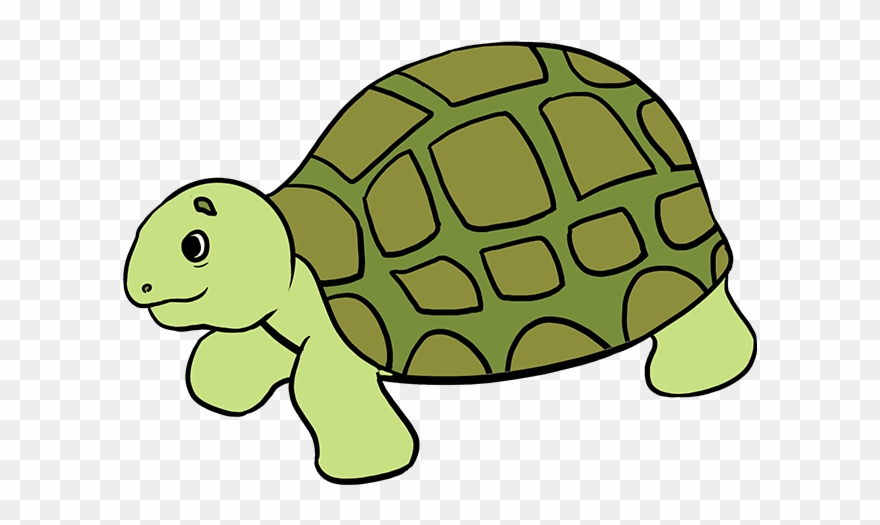 How To Draw Sea Turtle - Easy Drawing Of Sea Animals Clipart