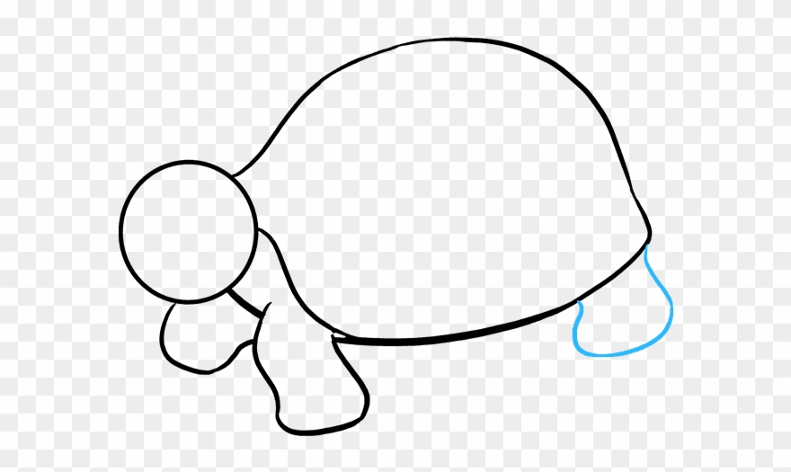 How To Draw Sea Turtle Clipart