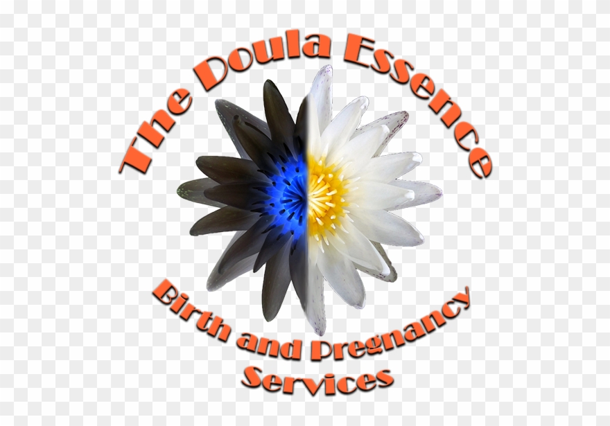 My Blog - Graphic Design Clipart