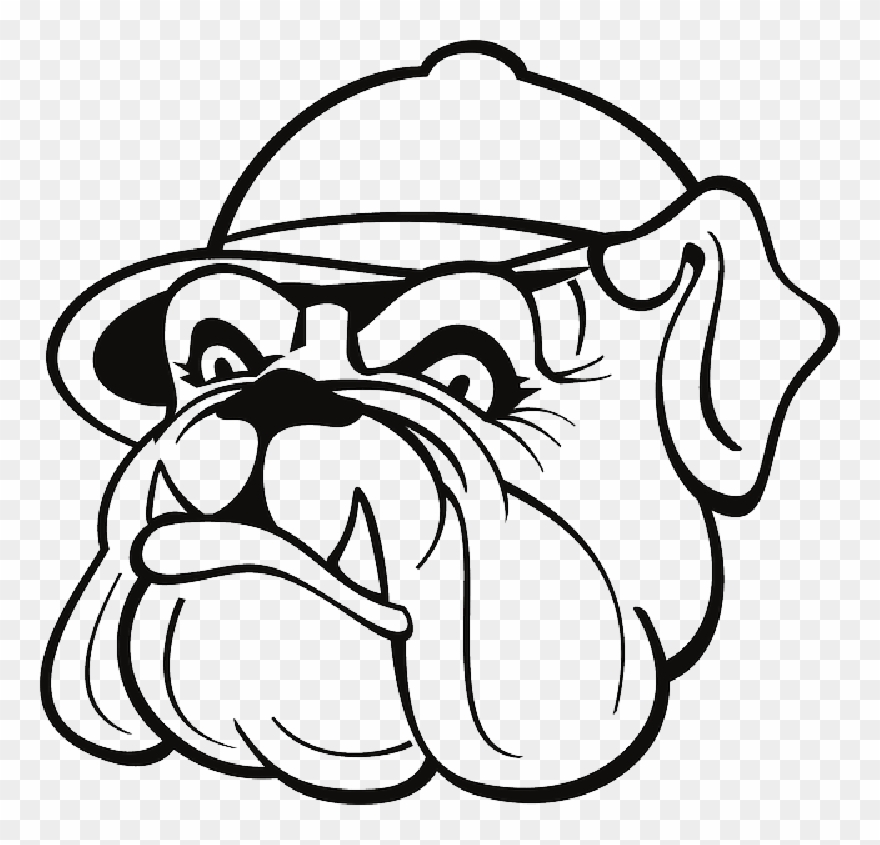 Pin Bulldog Outline Clip Art - Bulldog With Hat Drawing - Png Download