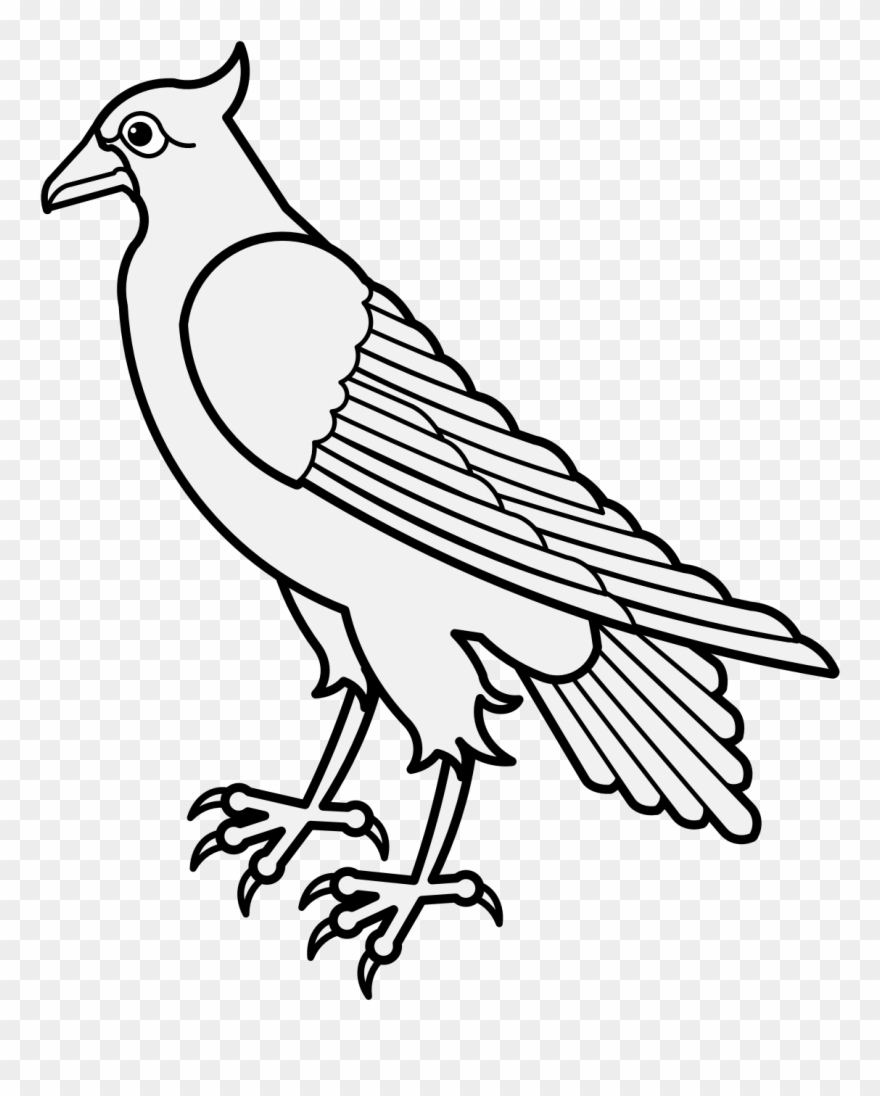 Dove Clipart Traceable - Pigeons And Doves - Png Download