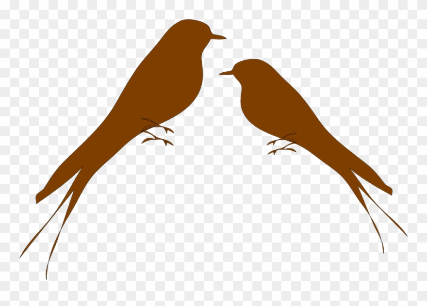 Love Birds Png 12, Buy Clip Art - Blue Bird Transparent Png