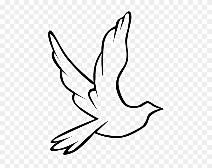 Paloma Dibujo 2 - Flying Birds Clipart Black And White - Png Download