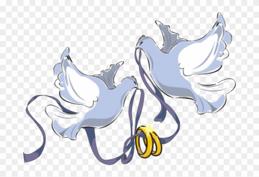 Palomas De Boda Related Keywords - Anillos De Bodas Con Palomas Clipart
