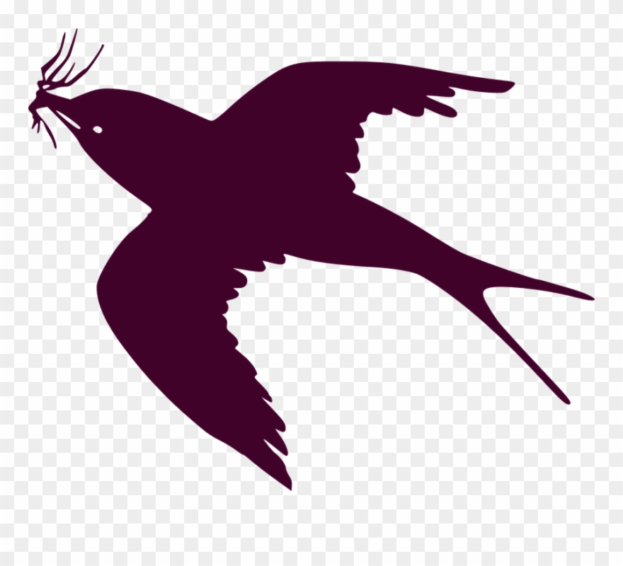 Flying Birds Cliparts 17, Buy Clip Art - Transparent Bird Flying Clipart - Png Download