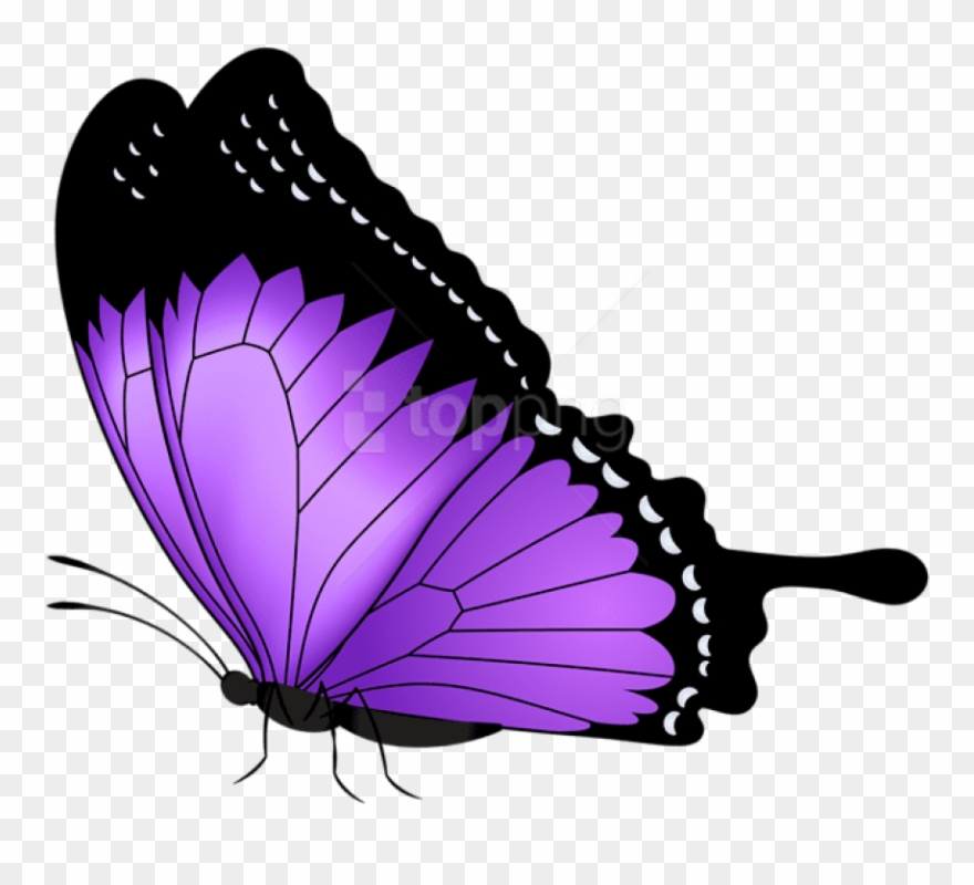 Purple Butterfly Transparent Png Clip Art Image Gallery - Violet Butterfly Transparent