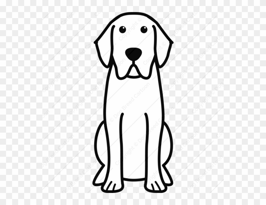 Labrador Retriever - Labrador Imagenes De Perros Caricaturas Clipart