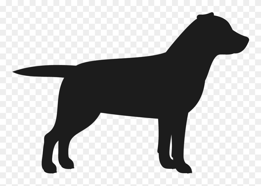 Labrador Retriever Stamp Dog, Cat Amp Fur Baby Stamps - Labrador Retriever Silhouette Png Clipart