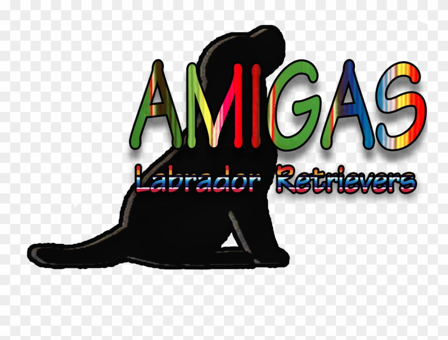 Placeholder Picture - Labrador Retriever Clipart