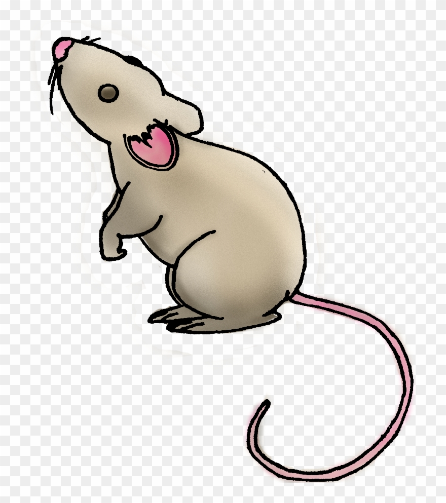 Rat Clipart Daga - Clip Art Daga - Png Download
