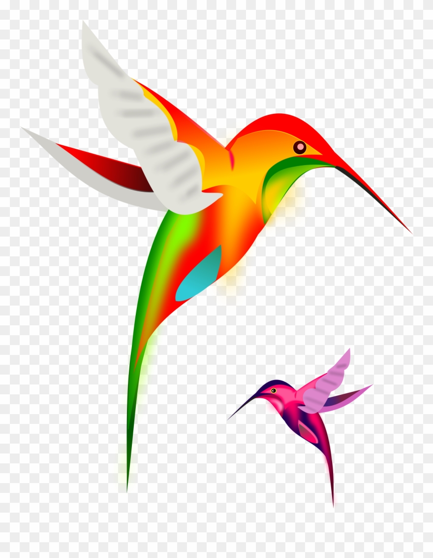 Picture Free Colibri Birds By Gurica Hummingbirds Pinterest - Lord Is Our Banner Clipart