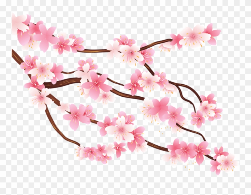 Free Png Pink Spring Branch Png Images Transparent - Transparent Background Cherry Blossom Clipart