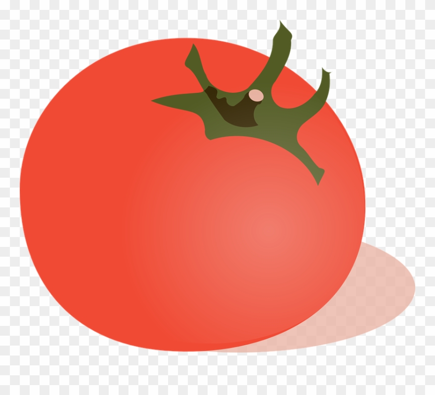 Tomatoes Clipart 10, Buy Clip Art - Cartoon Tomato No Background - Png Download