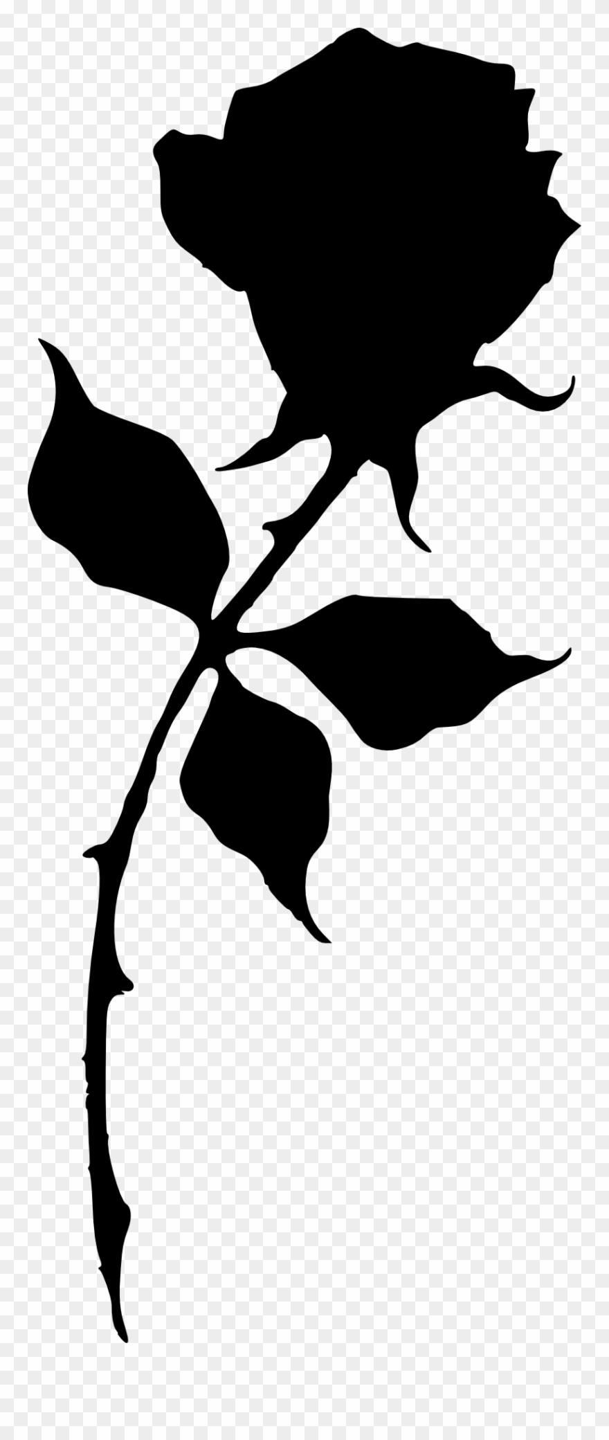 842 × 2000 Px - Silhouette Of A Rose Clipart