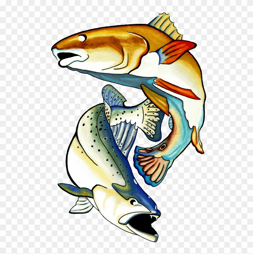 Redfish - Nation - Charter Communications Clipart