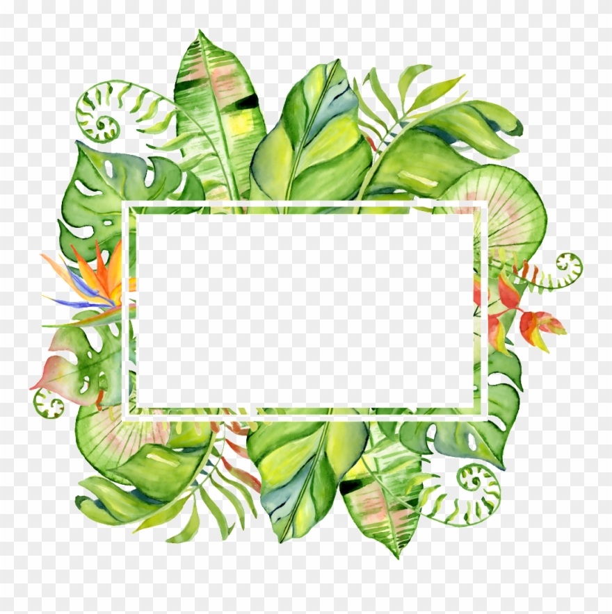 Treasure Color Column Png Transparent Surrounded By - Fond D Écran Jungle Dessin Clipart