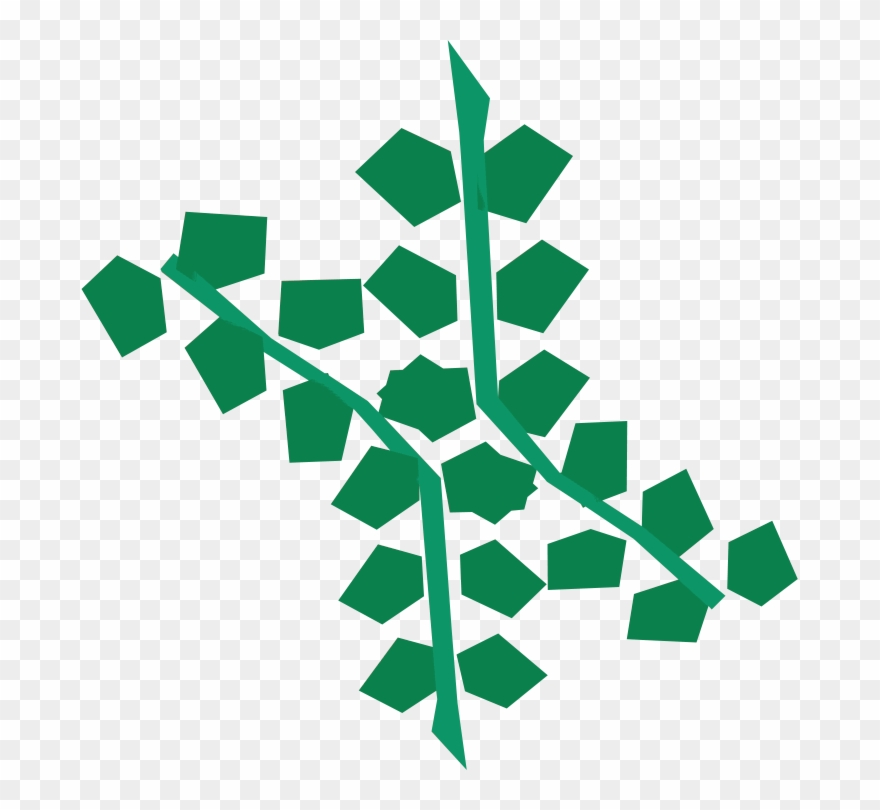 Seaweed Detail - Seaweed Runescape Clipart