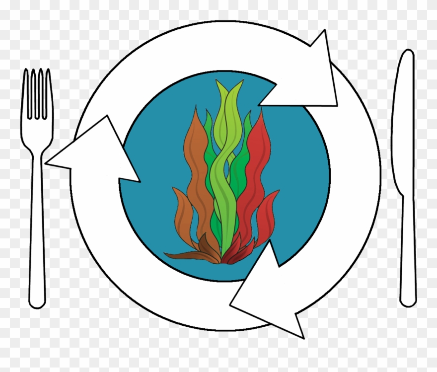 Check Out Our Homepage And Blog On Http - Twitter Clipart