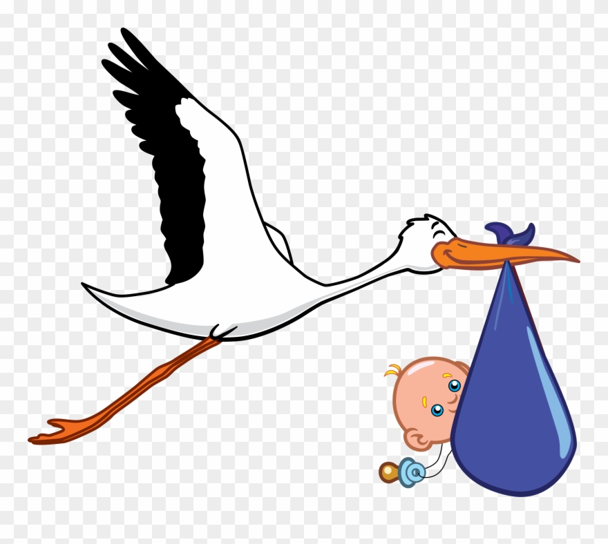 Kisspng Ciconia Wedding Invitation Infant Clip Art - Your New Baby's Instruction Book Transparent Png