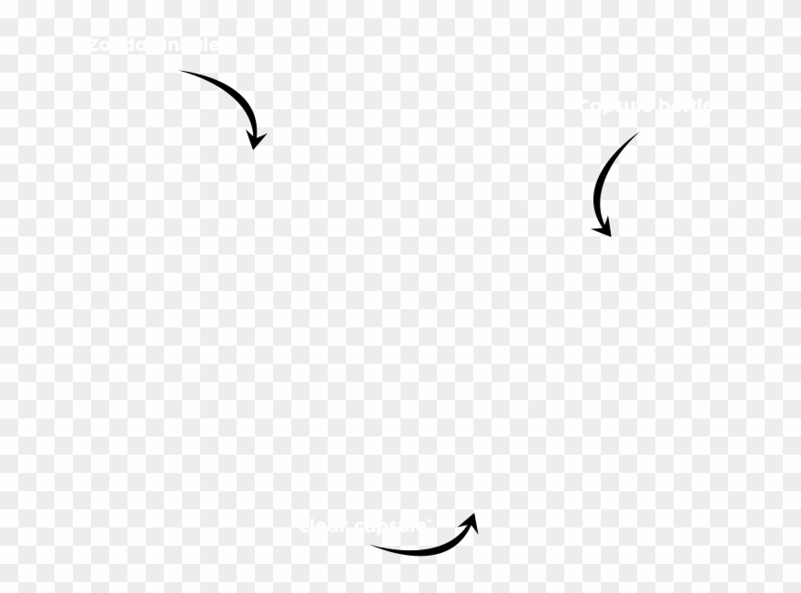 Braltus® Is An Inhaled Medicine That Contains The Active Clipart