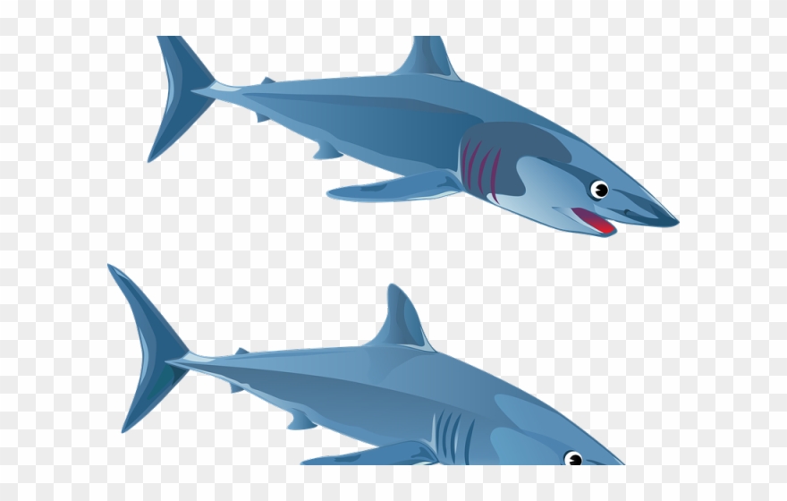 Bull Shark Clipart Hiu - Sopa De Letras Tiburon - Png Download
