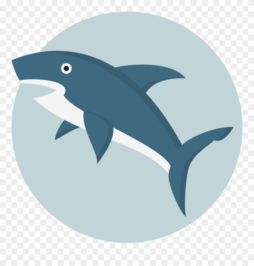 Collection Of Shark Png - Shark Vector Clipart
