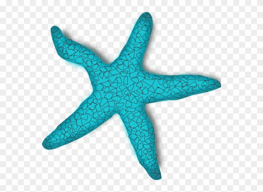 Sea Stars Clip Art - Png Download