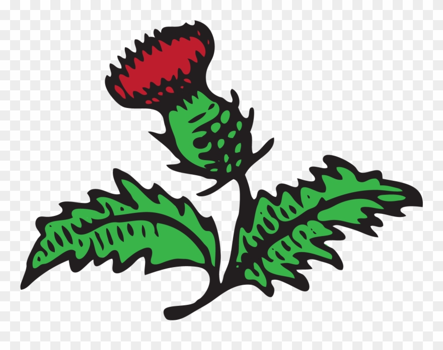 Red Thistle Handyworks - Thistle Clipart