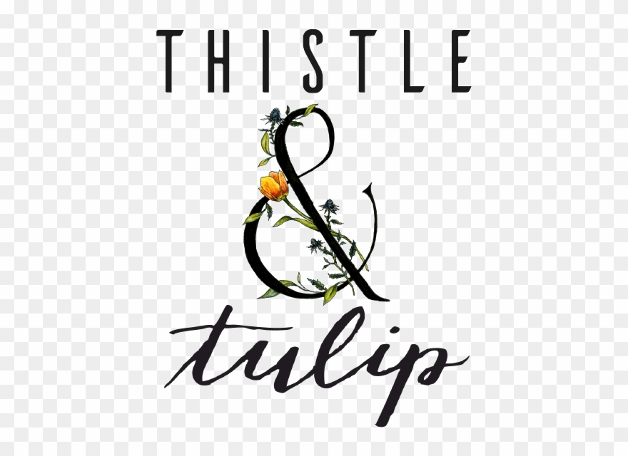 Thistle And Tulip - Photography Clipart