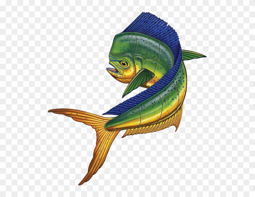 Porc Mm45 18 14"x13" Mahi Mahi Upward Porcelain Pool - Mahi-mahi Clipart
