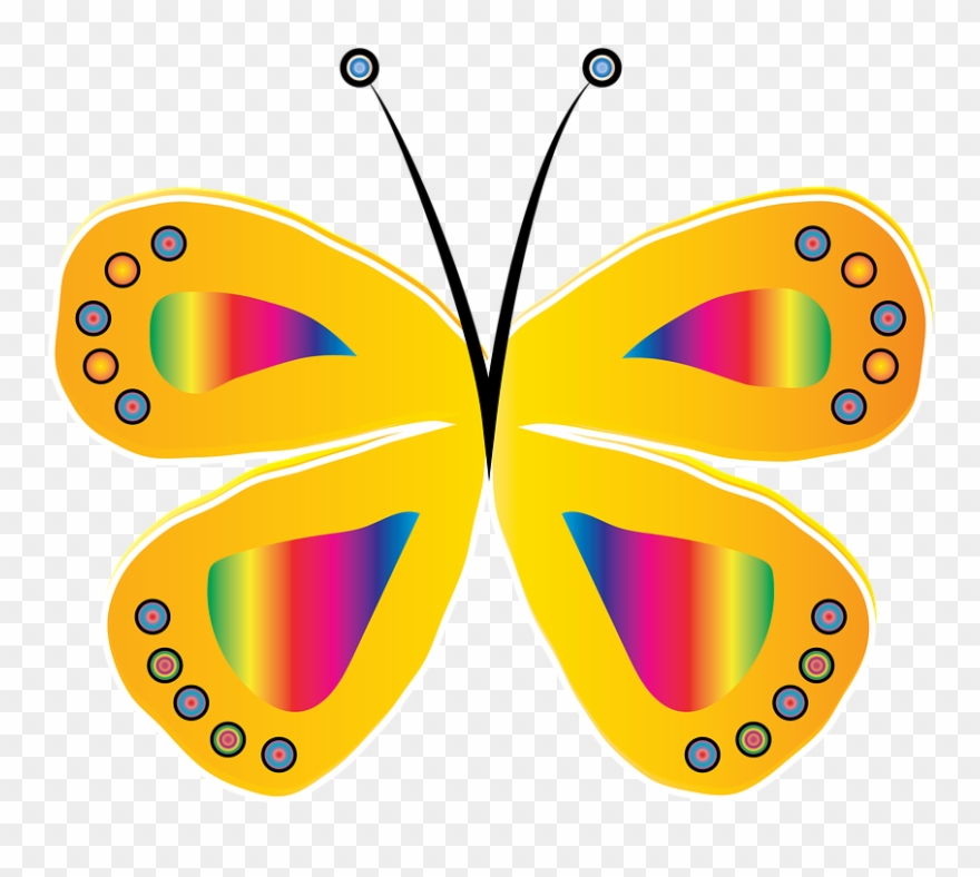 Yellow Butterfly Clipart 21, Buy Clip Art - Borboleta Amarela Com Rosa Png Transparent Png