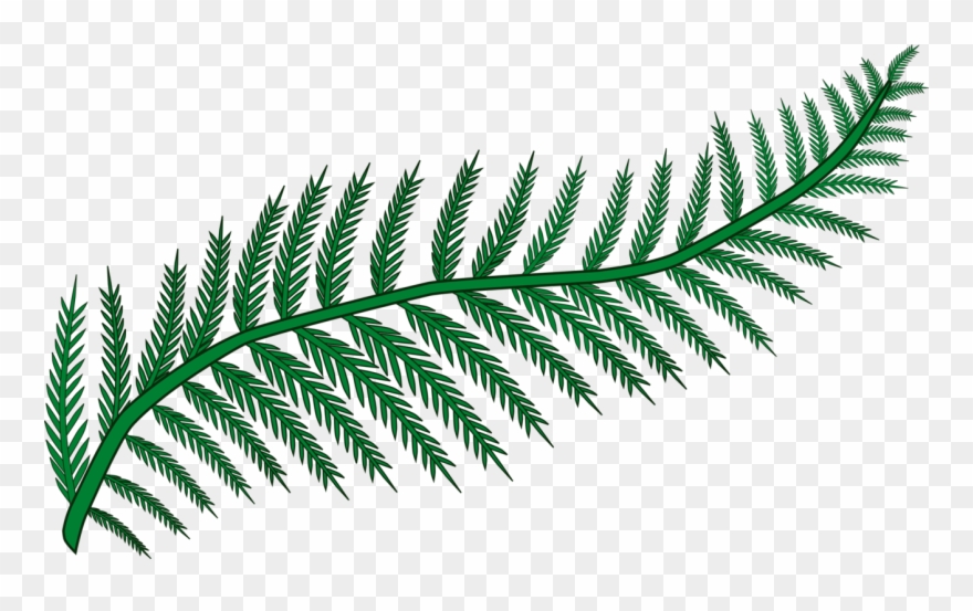 Fern Frond Plants Leaf Vascular Plant - Transparent Background Fern Clipart - Png Download