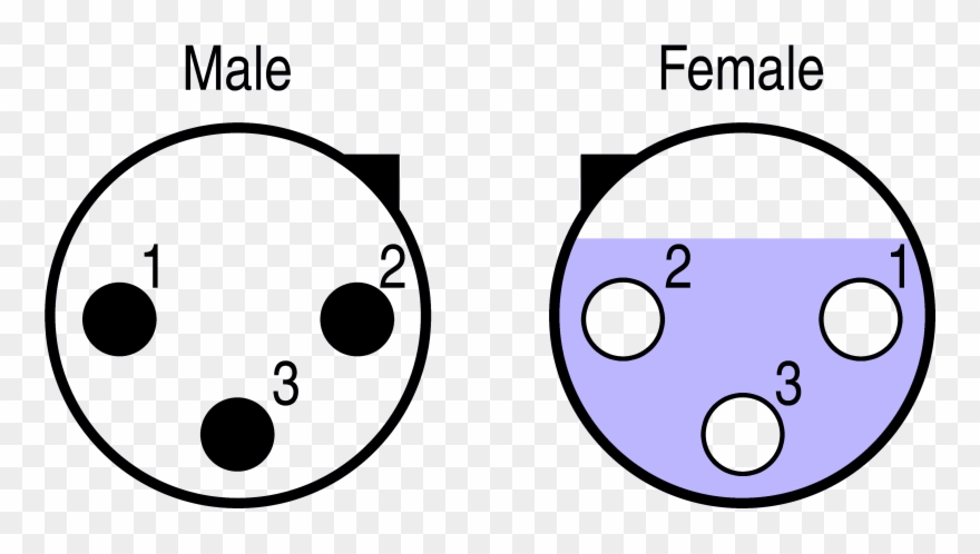 Xlr Female Male - Male Female Xlr Cable Clipart