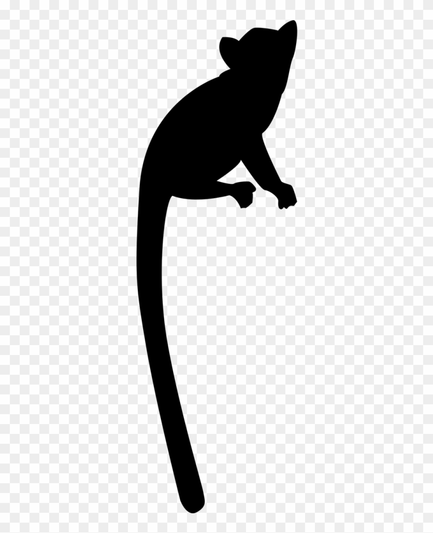 Tailled - Lemur Silhouette Png Clipart