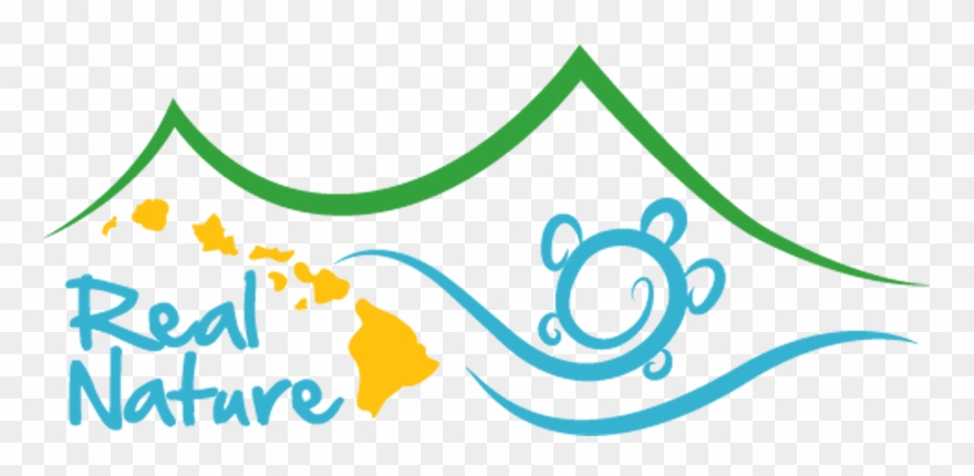 Best Reviewed Tour Guide Hawaii Clipart