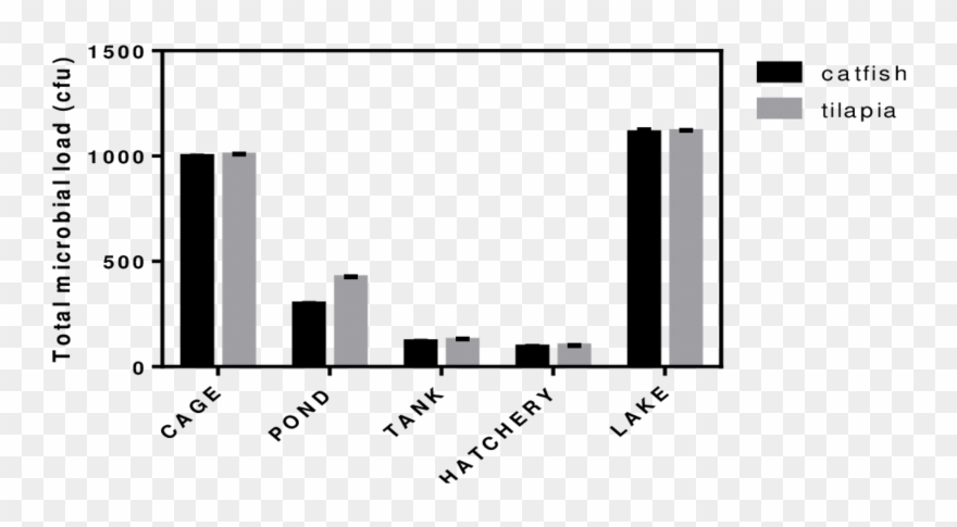 Total Microbial Load On Surfaces Of Tilapia And Catfish - Microorganism Clipart