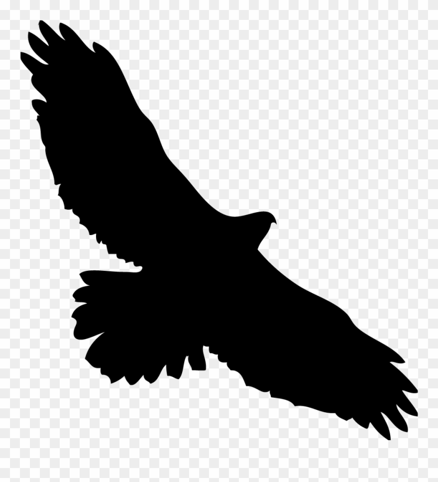 Eagles Clipart Kite Bird - Hawk In Flight Silhouette - Png Download